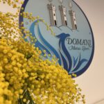 San Marino. DML su 8 marzo: non un permesso sociale, ma la misura della civiltà di un Paese