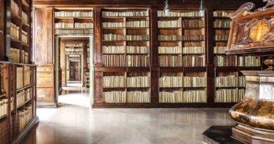 Rimini. Biblioteca Civica Gambalunga: sette i candidati selezionati per il ruolo da direttore