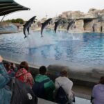 Ponte del 1° Maggio nei parchi Costa Edutainment in Romagna: a Oltremare 2.0 arrivano i DinsiemE