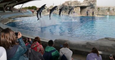 Il polo dell’Edutainment in Romagna inaugura la stagione 2026 promettendo emozioni autentiche e spazi rinnovati