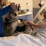 Partiti gli Interventi Assistiti con gli Animali anche nel percorso di Cure Palliative all’Hospice di Rimini