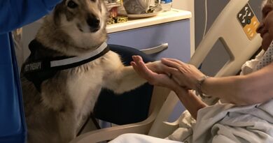 Partiti gli Interventi Assistiti con gli Animali anche nel percorso di Cure Palliative all’Hospice di Rimini