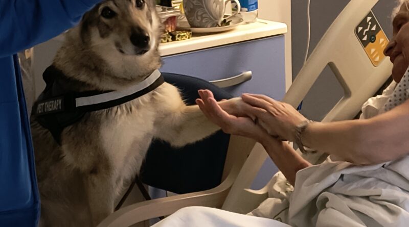 Partiti gli Interventi Assistiti con gli Animali anche nel percorso di Cure Palliative all’Hospice di Rimini