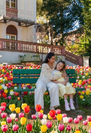 Oltre 50mila tulipani nel cuore di Riccione: a Villa Lodi Fé sboccia un arcobaleno di colori e profumi