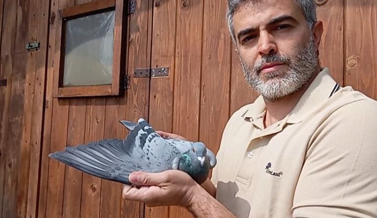 San Marino. I colombi viaggiatori di Luca Casadei vincono ancora