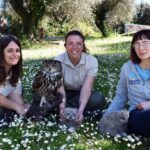  Lieto evento a Oltremare 2.0 di Riccione: sono nati due pulli di Gufo Reale