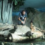 Acquario di Cattolica, speciale “caccia alle uova” dedicata alle lontre