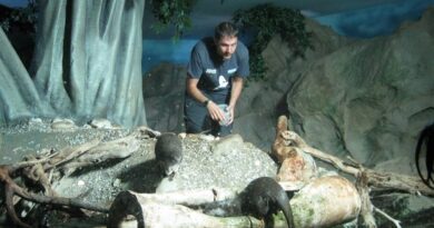 Acquario di Cattolica, speciale “caccia alle uova” dedicata alle lontre