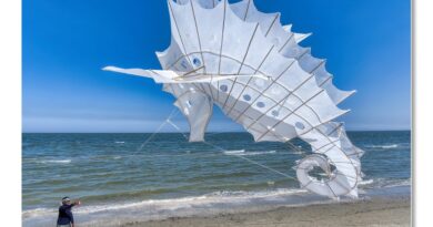 Pinarella di Cervia. Fino al 3 maggio il festival internazionale dell’Aquilone