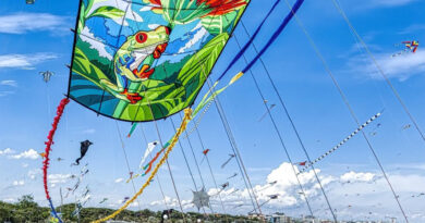 Pinarella di Cervia, spiaggia. 46° ARTEVENTO Festival Internazionale dell’Aquilone. Il programma del 1° Maggio