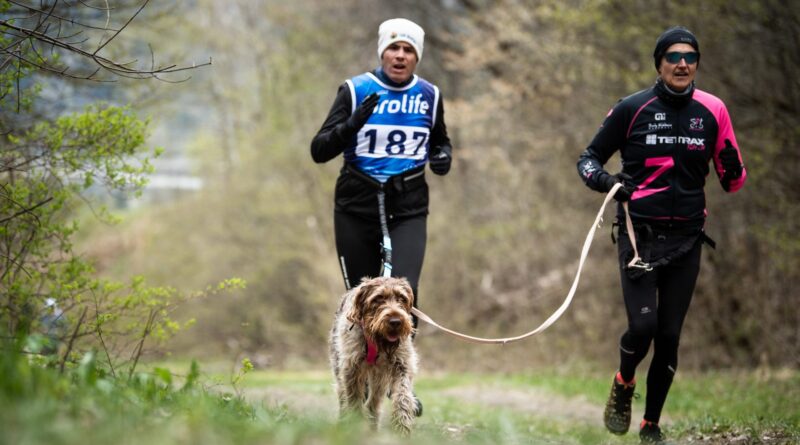 San Marino. Terzo Canicross del Titano, oggi, al parco Laiala