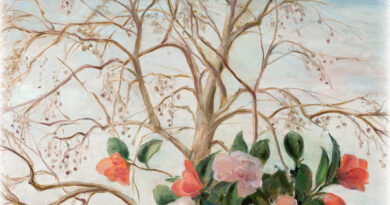 Coriano. Un fine settimana dedicato all’arte e alla riflessione sull’umanità: due incontri con l’autore