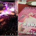 Rimini. Notte Rosa, la musica al centro e il ritorno del fenicottero rosa in versione dj: cosa significa il simbolo dell’estate 2026