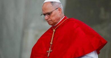 Papa Leone a Rimini, la Diocesi avvia il reclutamento dei volontari per la visita del Pontefice