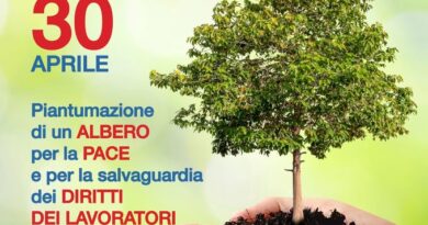 San Marino. Fervono i preparativi per “Piantar Maggio” una festa legata alla tradizione, oggi riproposta da Libera