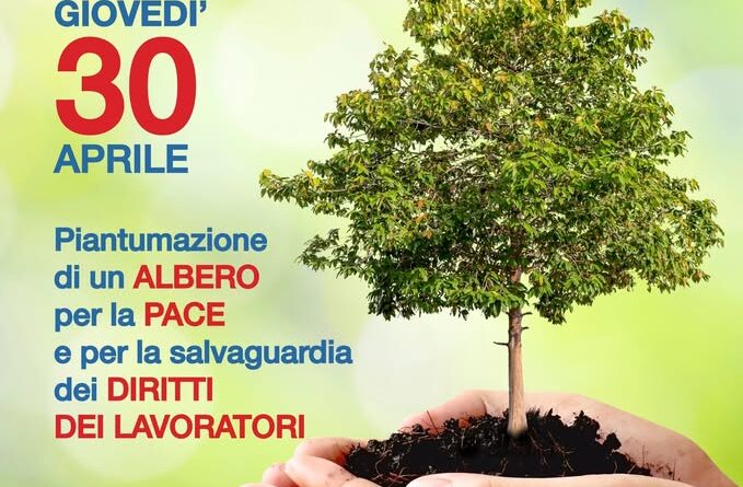 San Marino. Fervono i preparativi per “Piantar Maggio” una festa legata alla tradizione, oggi riproposta da Libera