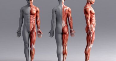 La Scienza del Movimento – L’importanza del tessuto muscolare: oltre l’estetica