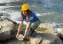 A Rimini la prima scala di risalita per piccoli di anguille sul Fiume Marecchia