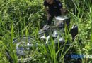 Schianto sulla via del Marano, moto contro suv: coppia di coniugi in gravi condizioni al Bufalini