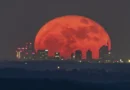 Milano, la luna rossa incanta lo skyline: lo scatto di Valerio Minato diventa virale