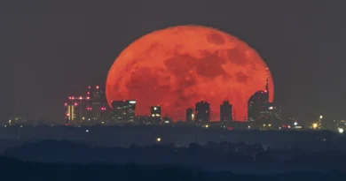 Milano, la luna rossa incanta lo skyline: lo scatto di Valerio Minato diventa virale