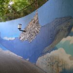 San Marino. Una magnifica balenottera azzurra è appena tornata a nuotare sul Titano, grazie al progetto BUONENOVE
