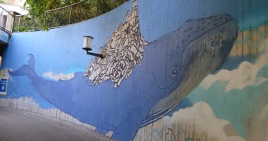 San Marino. Una magnifica balenottera azzurra è appena tornata a nuotare sul Titano, grazie al progetto BUONENOVE