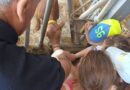San Marino. Grande successo per l’iniziativa Fattorie aperte