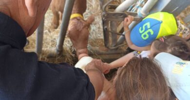 San Marino. Grande successo per l’iniziativa Fattorie aperte