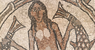 I mosaici di Pesaro, un tesoro ritrovato sotto la cattedrale