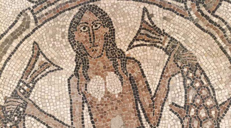 I mosaici di Pesaro, un tesoro ritrovato sotto la cattedrale