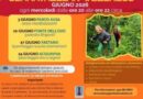 Serravalle in Wellness – Giugno 2026