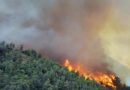 San Marino. Avviata la fase di attenzione per il rischio incendi boschivi