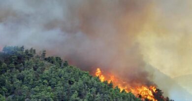 San Marino. Avviata la fase di attenzione per il rischio incendi boschivi