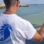 Goletta verde. Monitoraggio delle acque della costa emiliano – romagnola: su 11 campioni prelevati solo 1 risulta fortemente inquinato