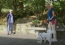 San Marino. Uso responsabile delle risorse ed etica ambientale: Osvaldo Bevilacqua nuovo testimonial solidale dell’AASS