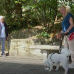 San Marino. Uso responsabile delle risorse ed etica ambientale: Osvaldo Bevilacqua nuovo testimonial solidale dell’AASS