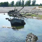 Il grande fiume in secca restituisce “l’Atlantide del Po”, il paese inghiottito oltre due secoli fa