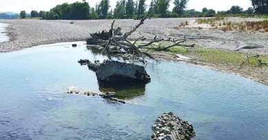 Il grande fiume in secca restituisce “l’Atlantide del Po”, il paese inghiottito oltre due secoli fa