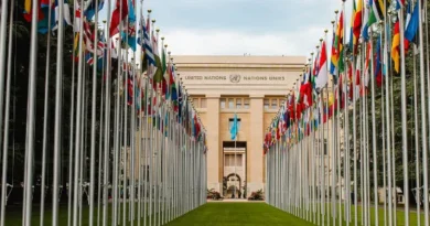 ONU contro Consiglio d’Europa: “No al Protocollo di Oviedo, le cure mentali coattive violano i diritti umani”