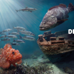 L’Acquario di Cattolica raddoppia le emozioni: aprirà al pubblico ogni martedì e giovedì sera, fino a fine agosto