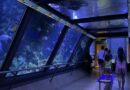 Festa giorno e notte nei parchi Costa della Romagna: Aquafan con Angie, dj e Tik Toker, emozioni a Italia in Miniatura e Acquario di Cattolica