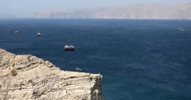 Una nave battente bandiere sammarinese è riuscita ad abbandonare lo stretto di Hormuz