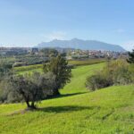 La verde vision di San Marino: se la vogliamo mantenere, è ora di agire!