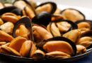 Moria di cozze in Emilia-Romagna per il caldo, sos dagli allevamenti