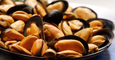 Moria di cozze in Emilia-Romagna per il caldo, sos dagli allevamenti