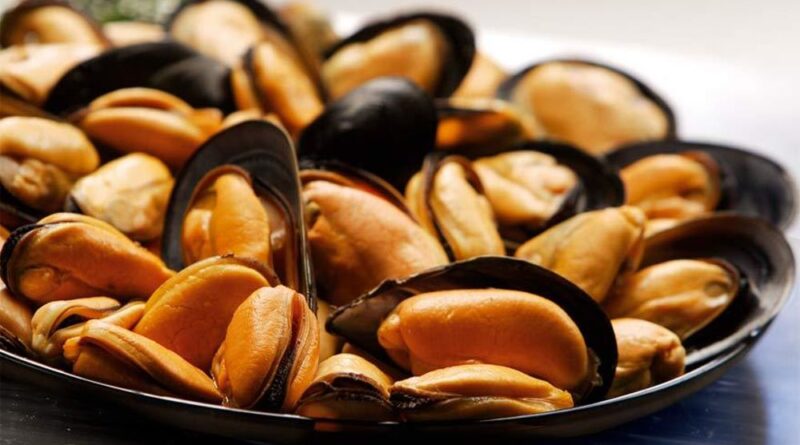 Moria di cozze in Emilia-Romagna per il caldo, sos dagli allevamenti