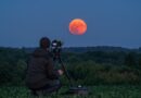 Eclissi di Luna show nei cieli italiani. In tanti col naso all’insù per vedere la Luna rossa dello Storione che si nasconde all’alba