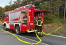 San Marino. Brucia nella notte il sottobosco della pineta, a Domagnano
