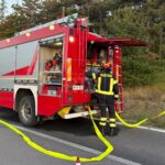 San Marino. Brucia nella notte il sottobosco della pineta, a Domagnano